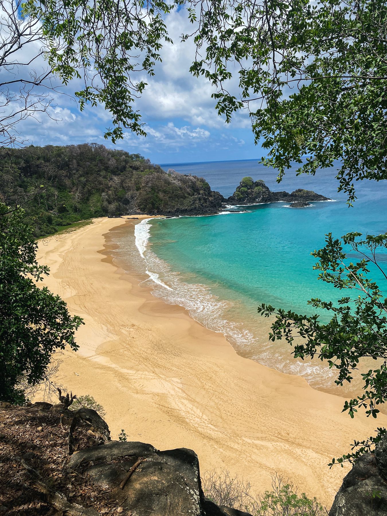 Golden beach and turquoise sea seen through trees, Brazil